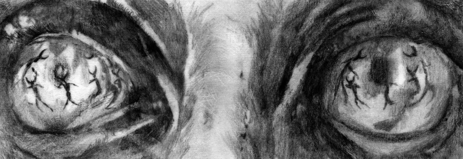 Eyes